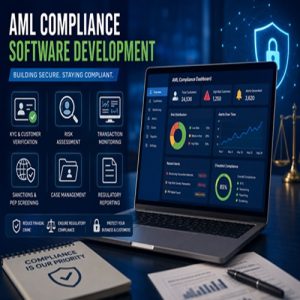AML Compliance Software Development Guide